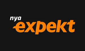 Logo słowne expekt