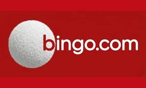 Logo słowne bingo.com